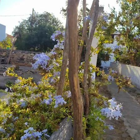 Latmos 1860 וילה