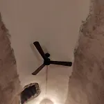 فيلة Latmos 1860 *