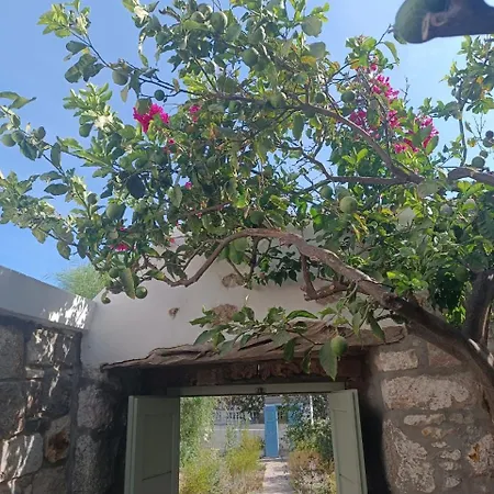 Latmos 1860 וילה
