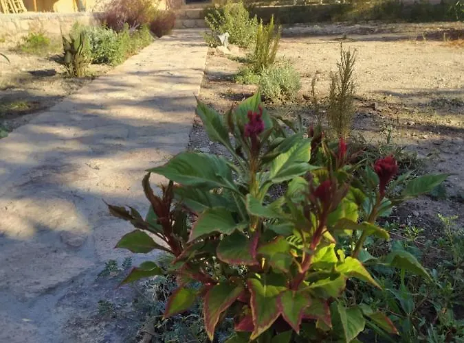 Latmos 1860 Villa Skala